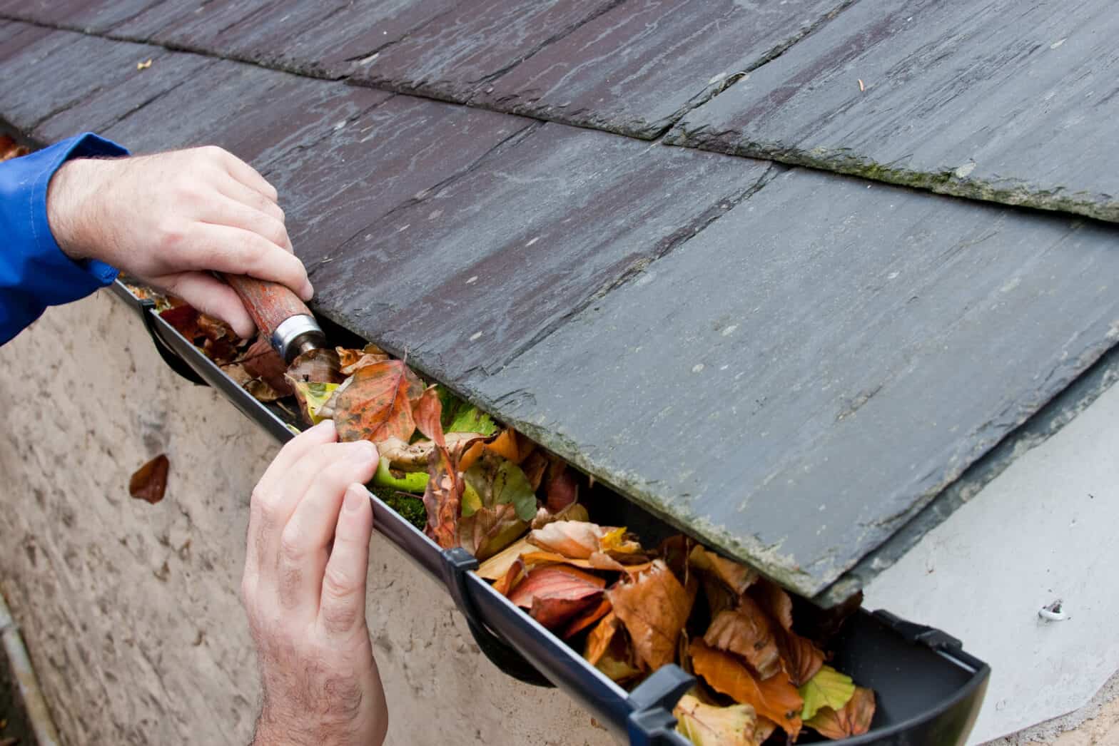 a gutter with leaves